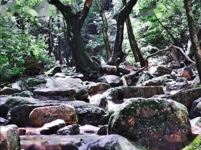 绯雨骑士团